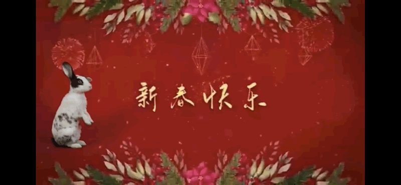 合盛全体员工祝您新春快乐！